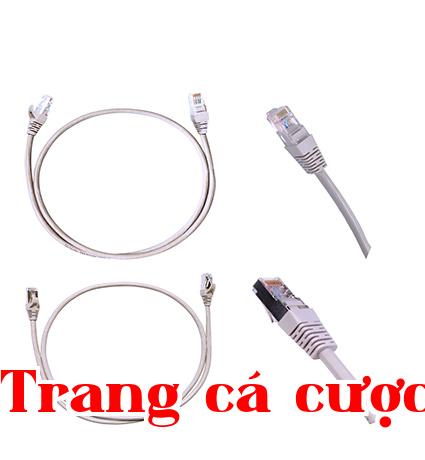 Dây nhảy loại siêu 5