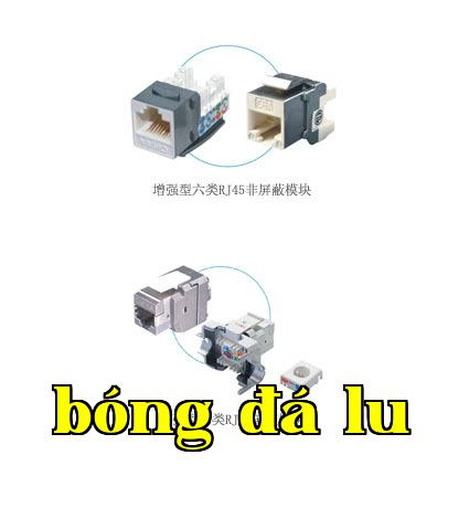 Module RJ45 loại 6
