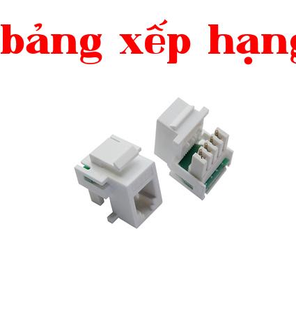 Mô-đun điện thoại