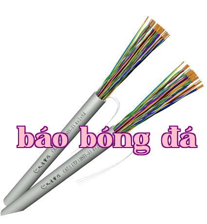 Cáp số lượng lớn loại 3 không chống nhiễu cho cáp kỹ thuật số trong nhà