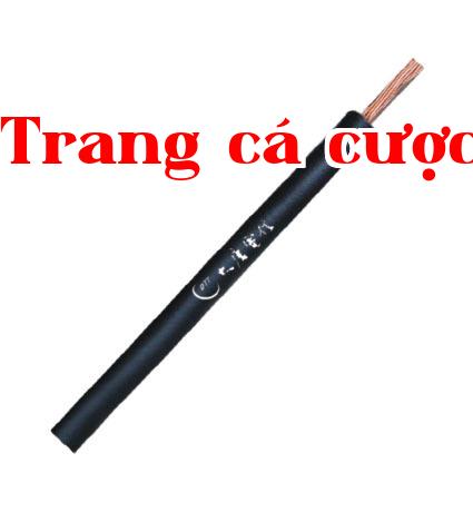 Series cáp SYV 75