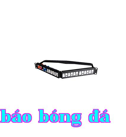 Giá phân phối không chống nhiễu góc 24 cổng rỗng