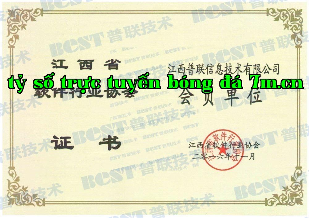 Chứng chỉ Hiệp hội Phần mềm tỉnh Giang Tây