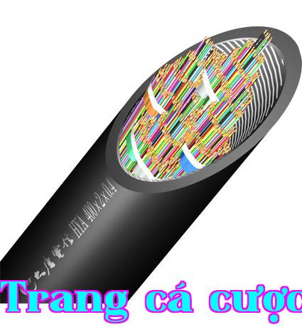 Cáp truyền thông kỹ thuật số loại 3 với số lượng lớn cặp ngoài trời