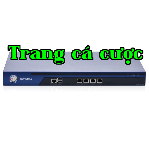 Bộ điều khiển không dây Gigabit NAC-6100