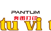 In Pantum